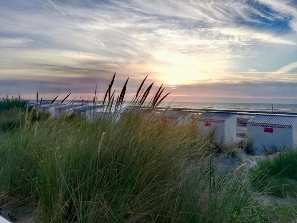 SeaYouSoon Nieuwpoort-Bad Buitenkant foto
